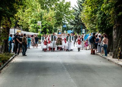 Gyarifoto (139)